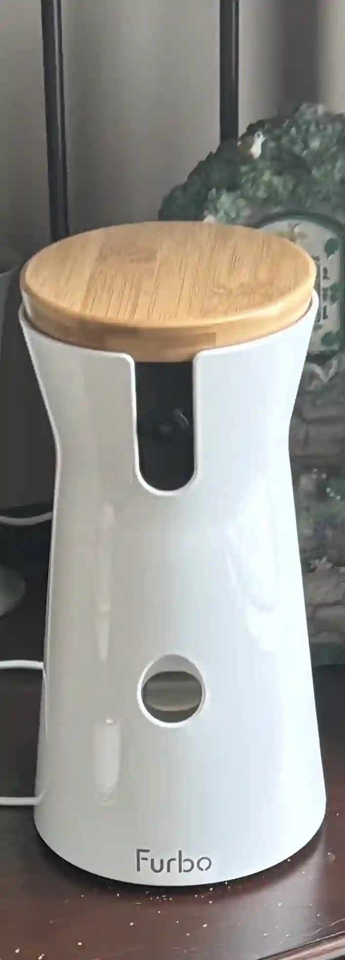 Furbo 360 Dog Camera in use
