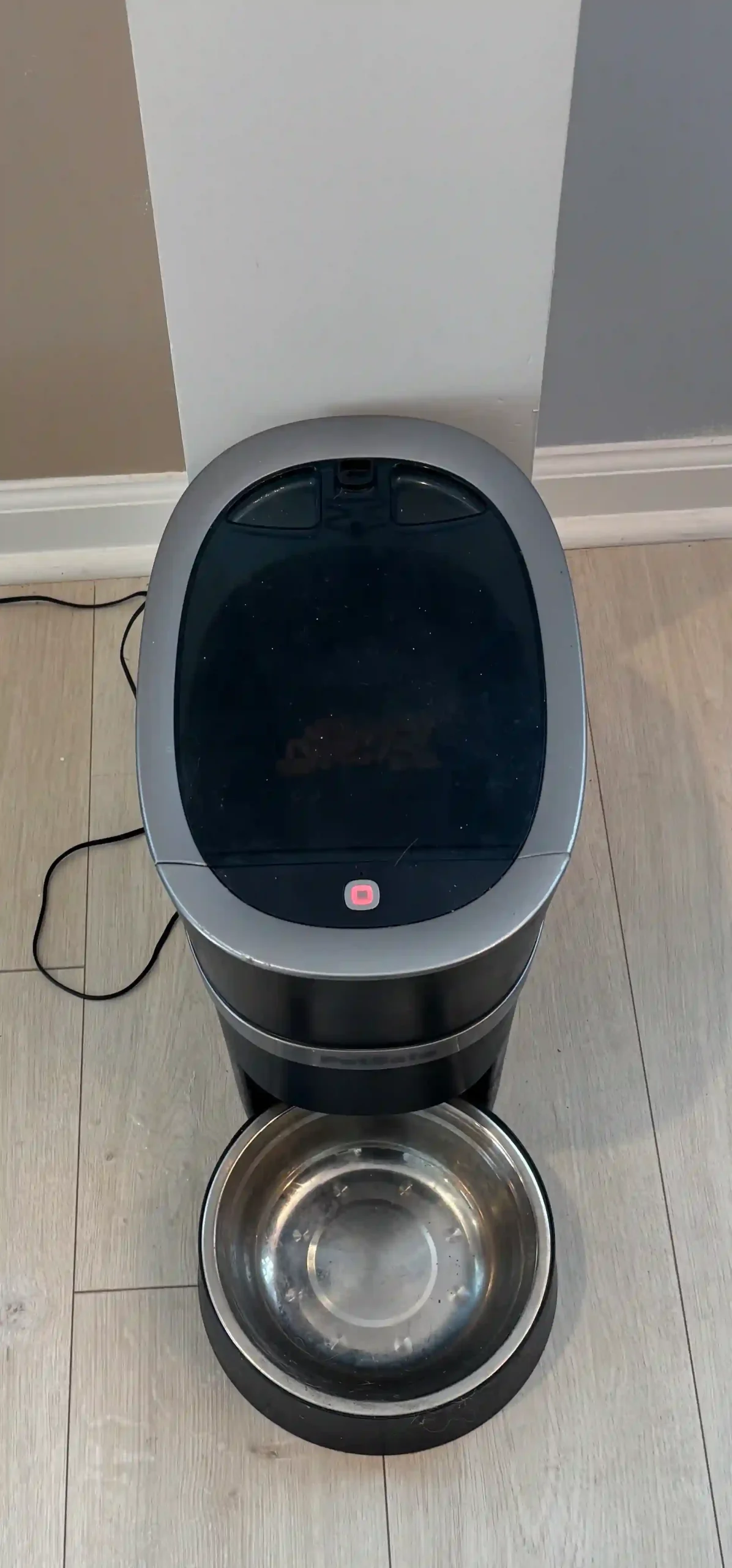 PetSafe Smart Feeder in use